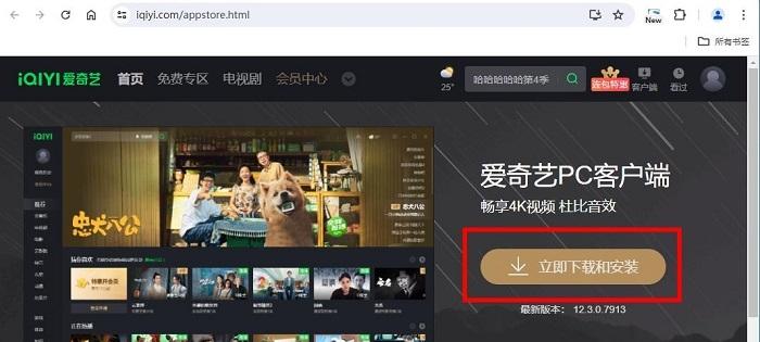 图片[2]-爱奇艺电脑客户端怎么下载？（官方正版下载网址）