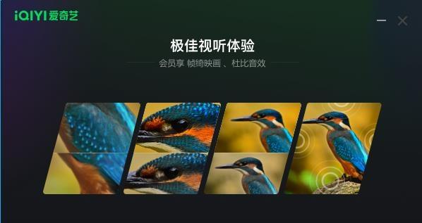 图片[5]-爱奇艺电脑客户端怎么下载？（官方正版下载网址）